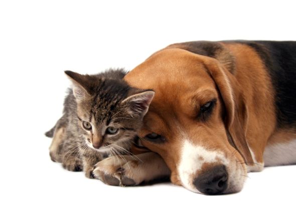 Friendship
